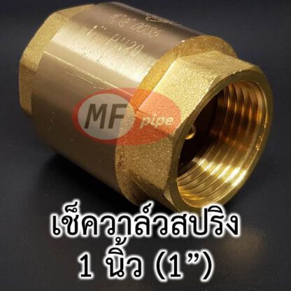 เช็ควาล์ว 1 นิ้ว sprin check valve