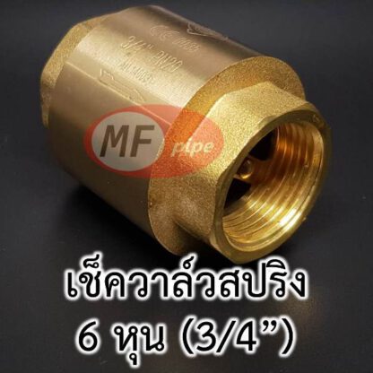 spring check valve 3/4" เช็ควาล์ว